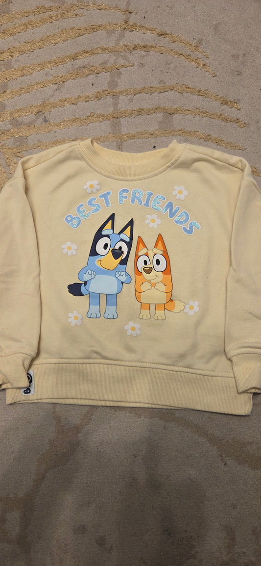 Bluey Shorts and Jumper set 2-3 Years