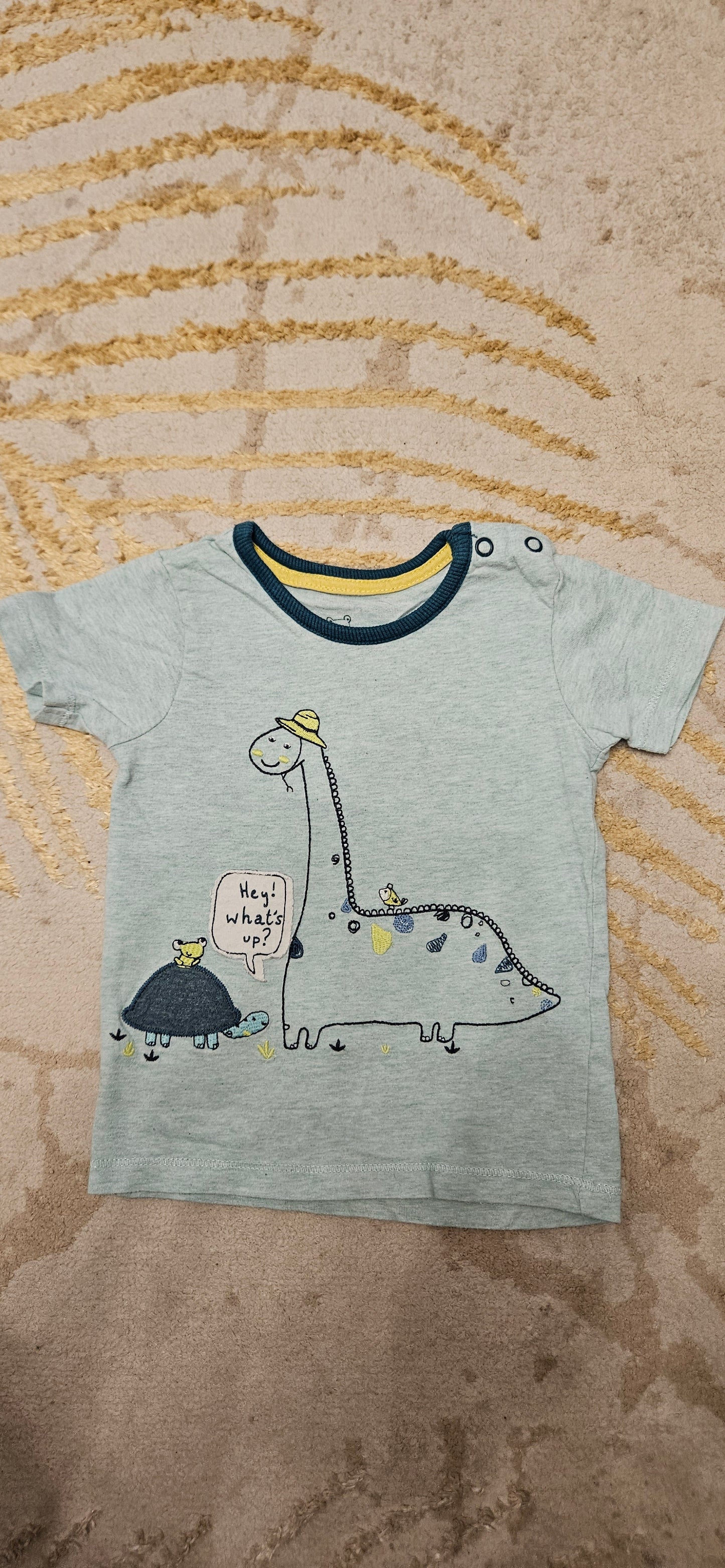 Grey Dinosaur & Turtle Shortsleeve T-Shirt 6-9 Months