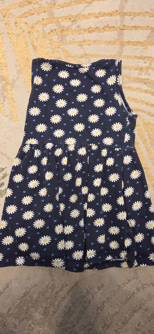 Primark Daisy Dress 3-4 Years