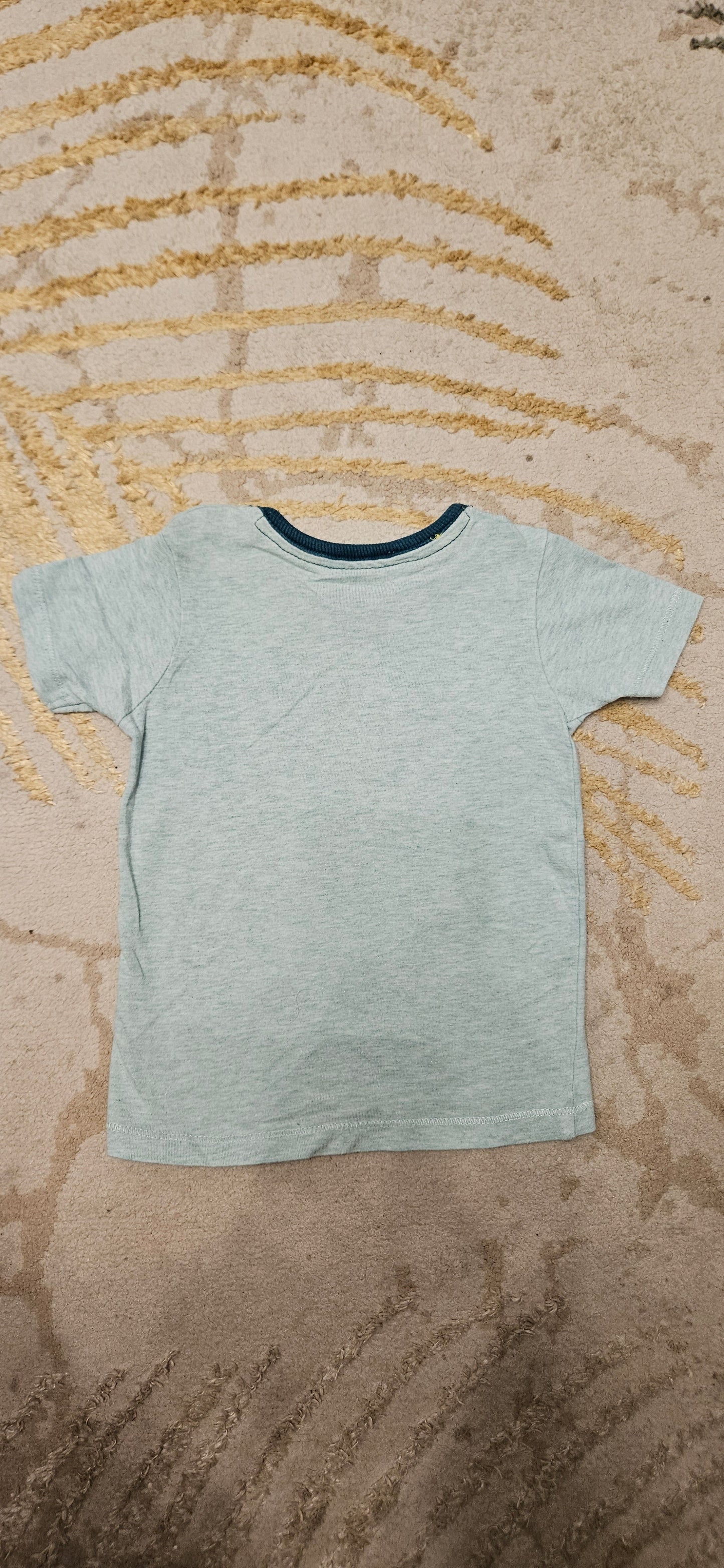 Grey Dinosaur & Turtle Shortsleeve T-Shirt 6-9 Months