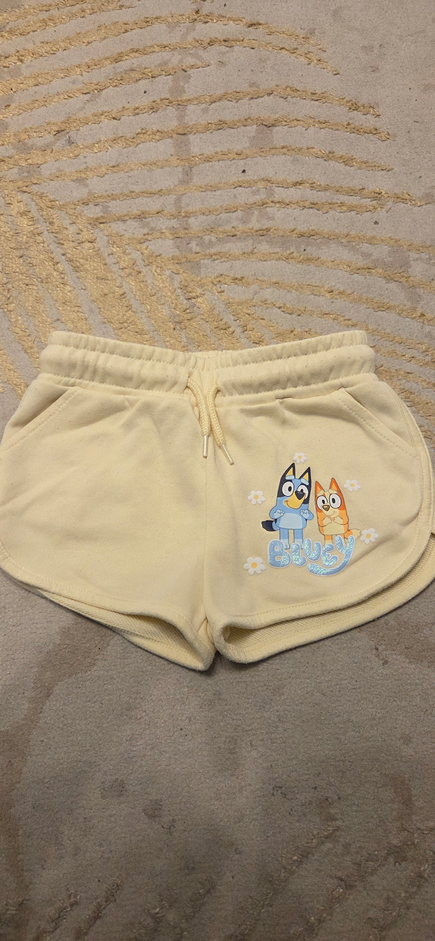 Bluey Shorts and Jumper set 2-3 Years